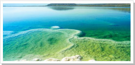 男性アロマセラピスト・男性エステティシャン